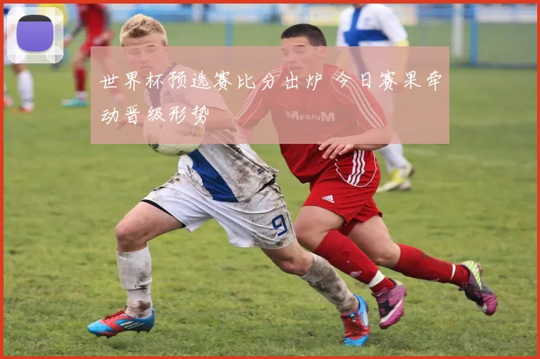 世界杯预选赛比分出炉 今日赛果牵动晋级形势