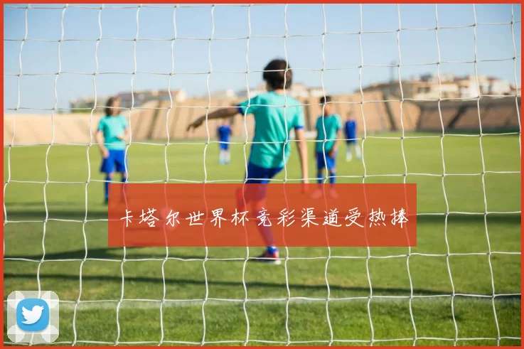 卡塔尔世界杯竞彩渠道受热捧