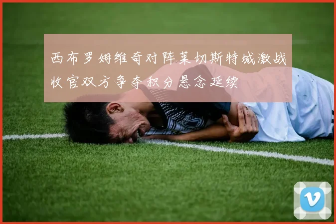 西布罗姆维奇对阵莱切斯特城激战收官双方争夺积分悬念延续